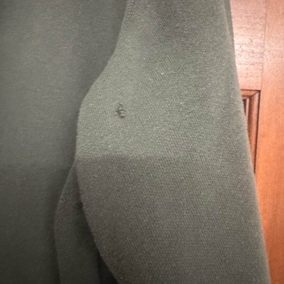 Carhartt Olive Rain Defender Hoodie - Picture 4 of 4